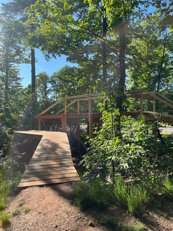 Bikepark Drop