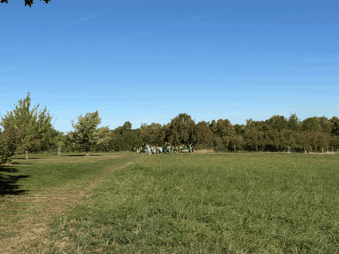 Zweites Picknick im strahlenden Sonnenschein