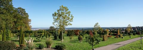  Außenanlage mit verschiedenen Baum und Straucharten