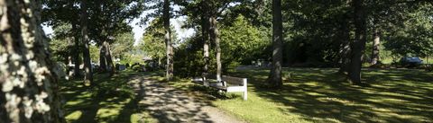 Parkbank im Friedhof Gelände